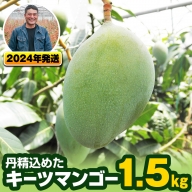 【2024年発送】南風原農園　丹精込めた「キーツマンゴー」1.5kg