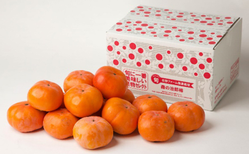 森の治郎柿 バラ詰め（約5kg） 果物類 フルーツ デザート 丹精 特化産品 高糖度 甘い 食感 好評 自信 完熟 美味しい  1090179 - 静岡県森町