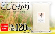こしひかり 玄米時重量 5kg×2袋×12回 12ヶ月連続 定期便 玄米時重量120kg 分づき米 対応可 真空パック コシヒカリ 米 簡易梱包 エコ梱包