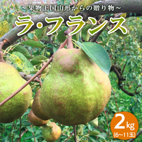 ～果物王国山形からの贈り物～ラ・フランス 秀 2kg FY23-708 1091191 - 山形県山形市