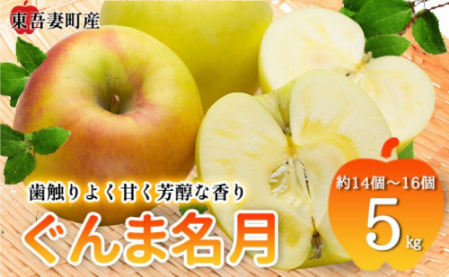 東吾妻町産 りんご ぐんま名月　5kg(14個から16個）リンゴ アップル 果物類 フルーツ 果物 1091789 - 群馬県東吾妻町