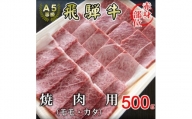 [A5等級]飛騨牛赤身肉焼肉用500g　モモ又はカタ肉【1445792】