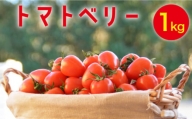 トマトベリー 1kg   / トマト 野菜 サラダ ミニトマト プチトマト / 南島原市 / 長崎県農産品流通合同会社 [SCB029]