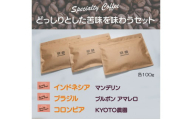 【早苗】焙煎珈琲豆（どっしりとした苦みを味わうセット　3種×各100g）粉