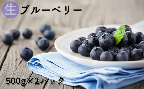 信州小諸産 【生】ブルーベリー500g×2パック 果物詰合せ フルーツ 果物 109234 - 長野県小諸市