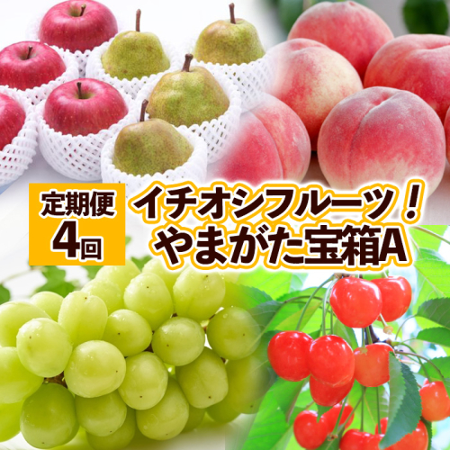 【定期便4回】イチオシフルーツ！やまがた宝箱A　(2024年～2025年お届け)  FZ23-675 1092601 - 山形県山形市