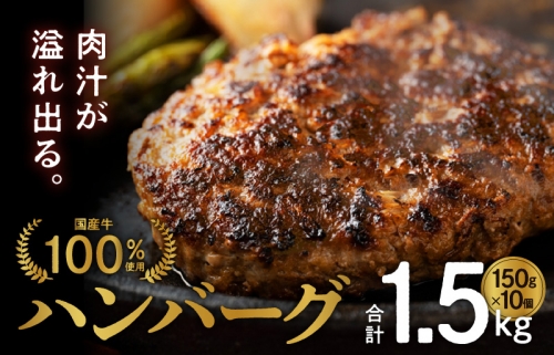 国産 牛肉 100% ハンバーグ 1.5kg（150g×10個） 099H2293 1092729 - 大阪府泉佐野市