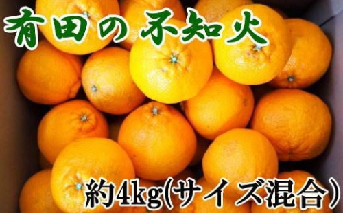 ［濃厚］有田産不知火約4kg（2L～5Lサイズ混合）★2026年2月中旬頃より順次発送 1092983 - 和歌山県有田川町