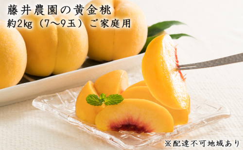 【2025年先行予約】 桃 岡山県産 ご家庭用 もも 黄金 桃 約2kg（7～9玉） 藤井農園《2025年7月上旬～7月下旬頃出荷》  果物 岡山 里庄町 モモ 109315 - 岡山県里庄町