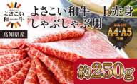高知県産　よさこい和牛　(上)赤身　しゃぶしゃぶ用　約250g｜山重食肉
