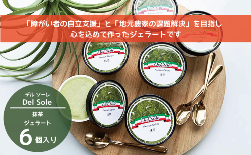 デルソーレ　ジェラート★抹茶★6個　農福 お菓子 スイーツ ひんやりスイーツ デザート 食後 おやつ アイス 地元食材使用 抹茶ジェラート  1093627 - 静岡県袋井市