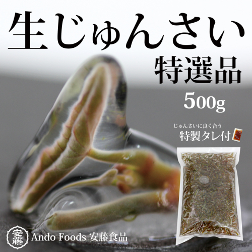 特選生じゅんさい500g ゆずタレ2個 《冷蔵》（2025年5月上旬頃～7月下旬までに発送予定） 令和7年産 2025年産 先行受付  秋田県産 三種町産 1093820 - 秋田県三種町