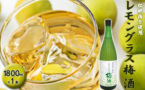 福井県産 紅映梅を使用した レモングラス梅酒（1800ml）1本　 1093909 - 福井県若狭町