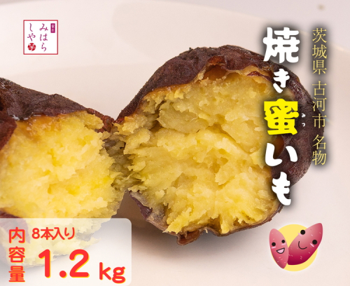 【スイーツのような甘さ】焼き蜜いも（1.2kg） _DP12 |  スイーツ 芋 いも イモ やきいも さつまいも サツマイモ おやつ お菓子 菓子 健康 食物繊維 野菜 やさい 甘い ねっとり しっとり 冷凍 紅和み 長期保存 蜜 茨城県産 茨城県 古河市 温め 冷やし 1093915 - 茨城県古河市