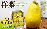 洋梨 マルゲリット・マリーラ 約3kg (5～8個) 【盛果園】 ナシ 果物 フルーツ F21U-364