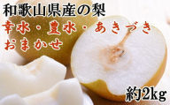[数量限定]和歌山県産の梨約2kg(品種おまかせ)/2024年8月上旬頃～10月上旬に順次発送予定