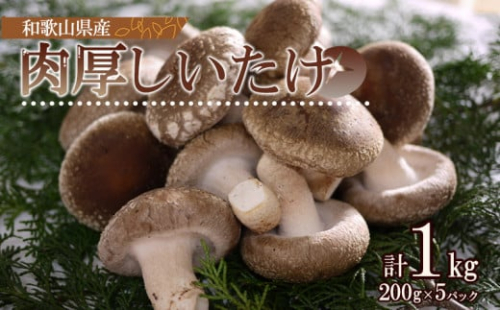 DM6003_最高級 肉厚椎茸 清流椎茸 1kg (200g×5パック) 1094507 - 和歌山県湯浅町