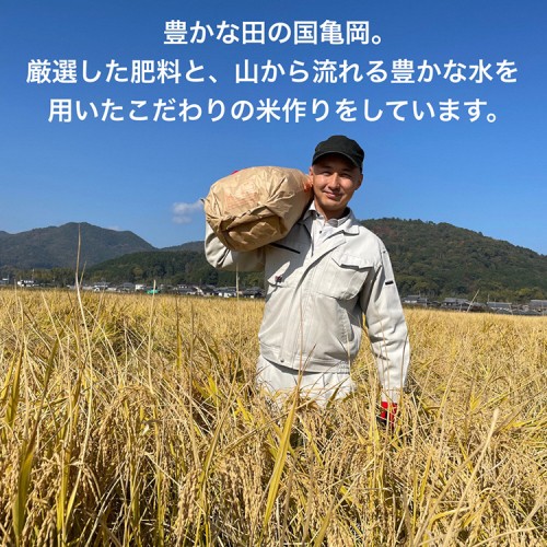 定期便】新米 コシヒカリ 定期便 玄米 10kg×6カ月〈アグリにのうみ