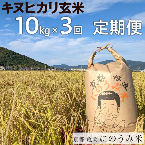 【定期便】【令和6年産先行予約】米 キヌヒカリ 定期便 玄米 10kg×3カ月〈アグリにのうみ〉京都・亀岡産《令和6年産》◇※北海道・沖縄・離島への配送不可※2024年10月中旬～11月中旬頃に順次発送予定 1094627 - 京都府亀岡市