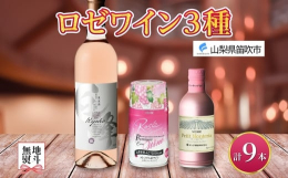 巨峰ワイン【アルコール分】9％【飲み頃温度】8〜10℃プレミアム缶ワイン ロゼスパークリング【アルコール分】9％【飲み頃温度】4〜8℃プティモンテリア ロゼスパークリング【アルコール分】12％【飲み頃