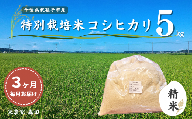 【毎月定期便3回】冷めても美味しい！ 特別栽培米 コシヒカリ 5kg×3回 計15kg（精米） 農家直送 千葉県産