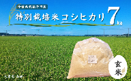 冷めても美味しい！ 特別栽培米 コシヒカリ 7kg（玄米） 農家直送 千葉県産