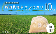 冷めても美味しい！ 特別栽培米 コシヒカリ 10kg（精米） 農家直送 千葉県産