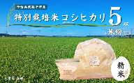 冷めても美味しい！ 特別栽培米 コシヒカリ 5kg（精米）と米粉のセット 農家直送 千葉県産