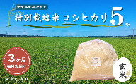 【毎月定期便3回】冷めても美味しい！ 特別栽培米 コシヒカリ 5kg×3回 計15kg（玄米） 農家直送 千葉県産