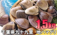 C01-J53 千葉県産活ハマグリ 1.5kg