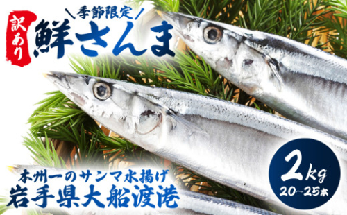 【 2026 先行予約 】訳あり 鮮さんま 2kg 20~25本 大船渡産 岩手 さかな おさかな 魚 鮮魚 新鮮 生魚 焼き魚 FISH ごはん 夕飯 おかず おつまみ 晩酌 米 丼 海産物 海鮮 魚介 魚介類 大船渡 三陸 岩手県 国産 ごはん 夕飯 おかず 米 丼 三陸 10000円 1万円