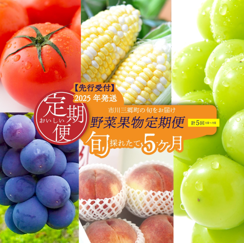 【先行予約】2025年発送　市川三郷町の旬をお届け！野菜果物定期便[5839-1981] 1095895 - 山梨県市川三郷町