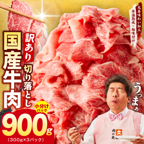 【TVで紹介！】国産牛 切り落とし 900g 小分け 300g×3P【国産 牛肉 氷温熟成×極味付け 訳あり サイズ不揃い カレー 牛丼 野菜炒め 肉じゃが 家計応援】 mrz0117 1095943 - 大阪府泉佐野市