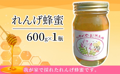 れんげ 蜂蜜 はちみつ 加工食品 1095955 - 岡山県玉野市