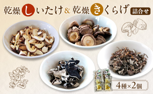 有機JAS 乾燥 しいたけ ・ 乾燥 きくらげ 4種各2個 詰合せ オーガニック 野菜 きのこ 岡山県 玉野市 栽培期間中化学肥料不使用 栽培期間中農薬不使用  1095961 - 岡山県玉野市