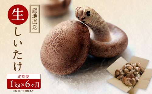 【 産地直送 】 有機JAS 生しいたけ定期便 1kg×6ヶ月 オーガニック しいたけ きのこ 野菜 岡山県 玉野市 栽培期間中化学肥料不使用 栽培期間中農薬不使用 野菜セット  1095964 - 岡山県玉野市