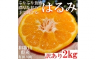 [有田川町]はるみ みかん オレンジ 2kg 和歌山県産ご家庭用