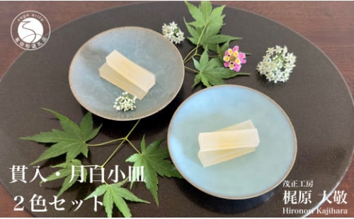 有田焼 貫入月白小皿 2色セット【梶原大敬 茂正工房】器 うつわ 食器 皿 取皿 小皿 菓子皿 2枚 セット ペア 青磁 貫入 青 夏 上品 シンプル 作家 ろくろ 電子レンジ対応 A18-237 1097202 - 佐賀県有田町