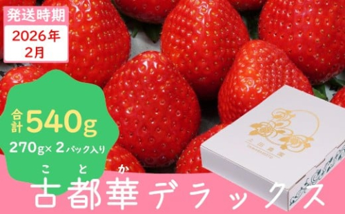 （冷蔵）【２月発送分】イチゴ 奈良県産高級ブランド品種「古都華」デラックス（270g×２パック） ／ 上田農園 苺 いちご 果物 フルーツ 甘い 奈良県 田原本町