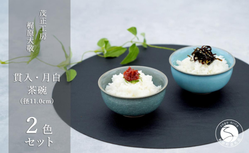 有田焼 貫入月白茶碗 2色セット【梶原大敬 茂正工房】器 うつわ 食器 和食器 ちゃわん ご飯 ごはん お茶碗 ペア セット 2個 食器セット 青磁 貫入 月白 ブルー 作家 手仕事 ろくろ シンプル 電子レンジ対応 A35-310 1097254 - 佐賀県有田町