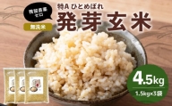 特Aひとめぼれ米 残留農薬ゼロ 発芽玄米 1.5kg×3袋(4.5kg)