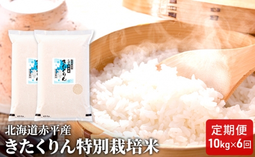 北海道赤平産きたくりん特別栽培米10kg×6回お届け 109750 - 北海道赤平市