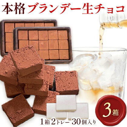 生チョコ 本格ブランデー生チョコ 3箱 1箱30個入り 株式会社たにぐち《2月上旬-2月中旬頃出荷》和歌山県 日高川町 スイーツ デザート チョコレート 生チョコレート お菓子 チョコ 送料無料 ブランデー 1097517 - 和歌山県日高川町