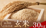 【令和5年産】 あきたこまち 玄米30kg(30kg×1袋) 秋田県大仙市産