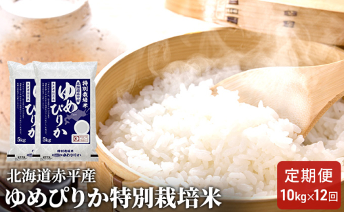 北海道赤平産 ゆめぴりか 10kg (5kg×2袋) 特別栽培米 【12回お届け】 米 北海道 定期便 お米  109761 - 北海道赤平市