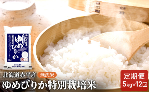 無洗米 北海道赤平産 ゆめぴりか 5kg 特別栽培米 【12回お届け】 米 北海道 定期便 ふるさと納税 お米  109766 - 北海道赤平市