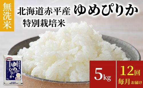 無洗米　北海道赤平産ゆめぴりか特別栽培米5kg×12回お届け