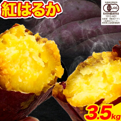 さつまいも 紅はるか 3.5kg 創成アグリ《10月末-1月末頃より順次出荷