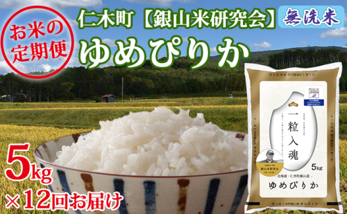 【先行受付 2025年産米】12ヵ月 定期便  銀山米研究会の無洗米 ＜ゆめぴりか＞5kg　ご飯 ライス 白米 ブランド米 おにぎり お弁当 北海道産 産地直送 ご飯 時短 朝ごはん 夜ごはん 昼ごはん [株式会社 松原米穀] 109782 - 北海道仁木町