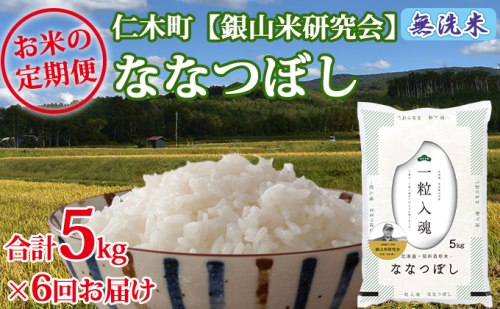【先行受付 2025年産米】6ヵ月 定期便 銀山米研究会の無洗米＜ななつぼし＞5kg　ご飯 ライス 白米 和食 炭水化物 主食 おにぎり お弁当 銘柄米 ブランド米 産地直送 [株式会社 松原米穀] 109785 - 北海道仁木町